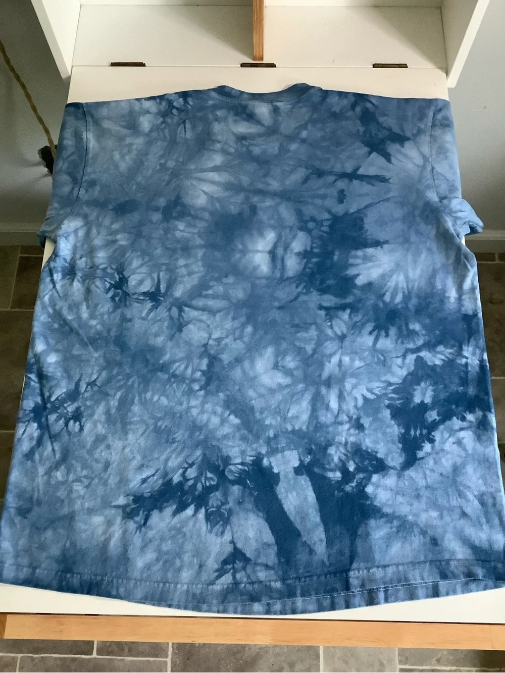 The Mountain Blue Tie-Dye Tropical Fish & Coral Graphic Tee